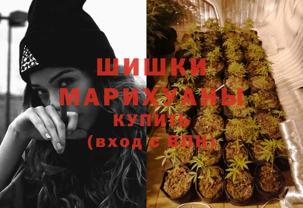 трава Медвежьегорск