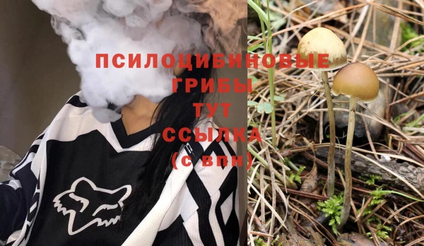 трава Медвежьегорск