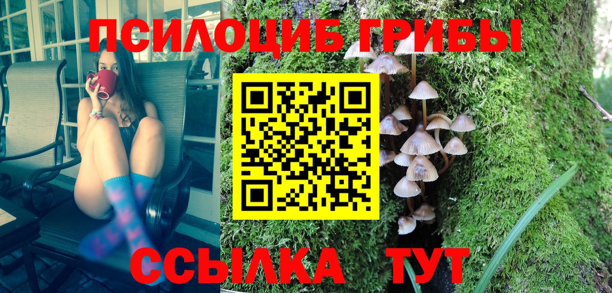 купить наркотик  Вход с VPN  Кандалакша  Галлюциногенные грибы Cubensis  Галлюциногенные грибы мицелий 