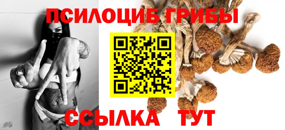 Галлюциногенные грибы ЛСД Кандалакша