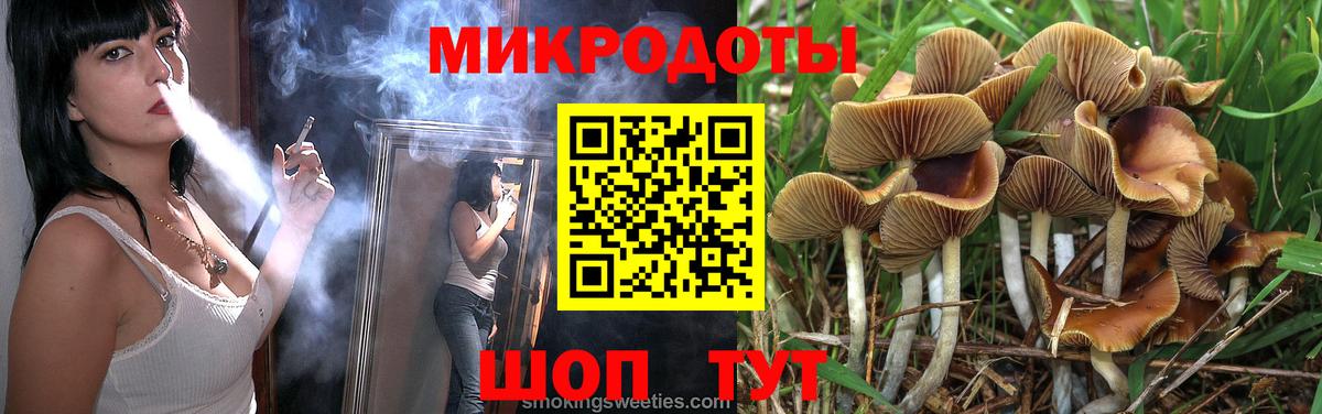 Псилоцибиновые грибы Psilocybine cubensis  Галлюциногенные грибы мухоморы  Кандалакша 