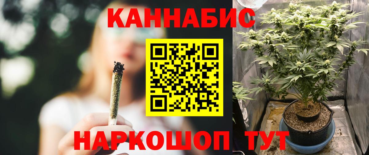 Марихуана Ganja  Кандалакша  Каннабис индика  Канабис план 